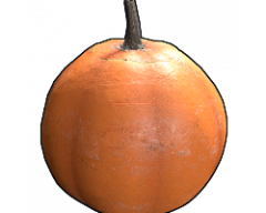 Carvable Pumpkin.png