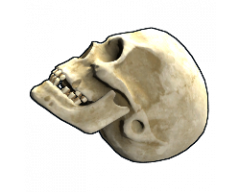 Skull.png