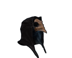 The Plague Doctor.png